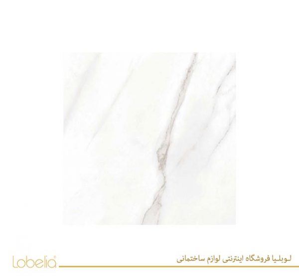 lobelia Avenue-Polished-Glossy-58x58 02122518657 www.lobelia.co