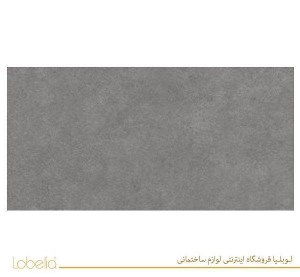 lobelia Robson-Dark-Gray-60x120-3-300x150 02122518657 www.lobelia.co