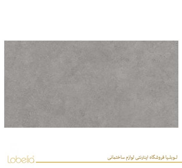 lobelia Robson-Light-Gray-60x120-3-300x150 02122518657 www.lobelia.co